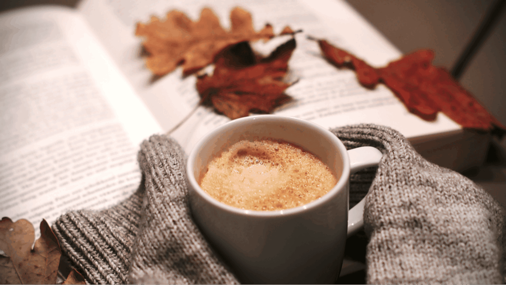 Corporate bus transportation in Boston during fall retreats with Travel Kuz